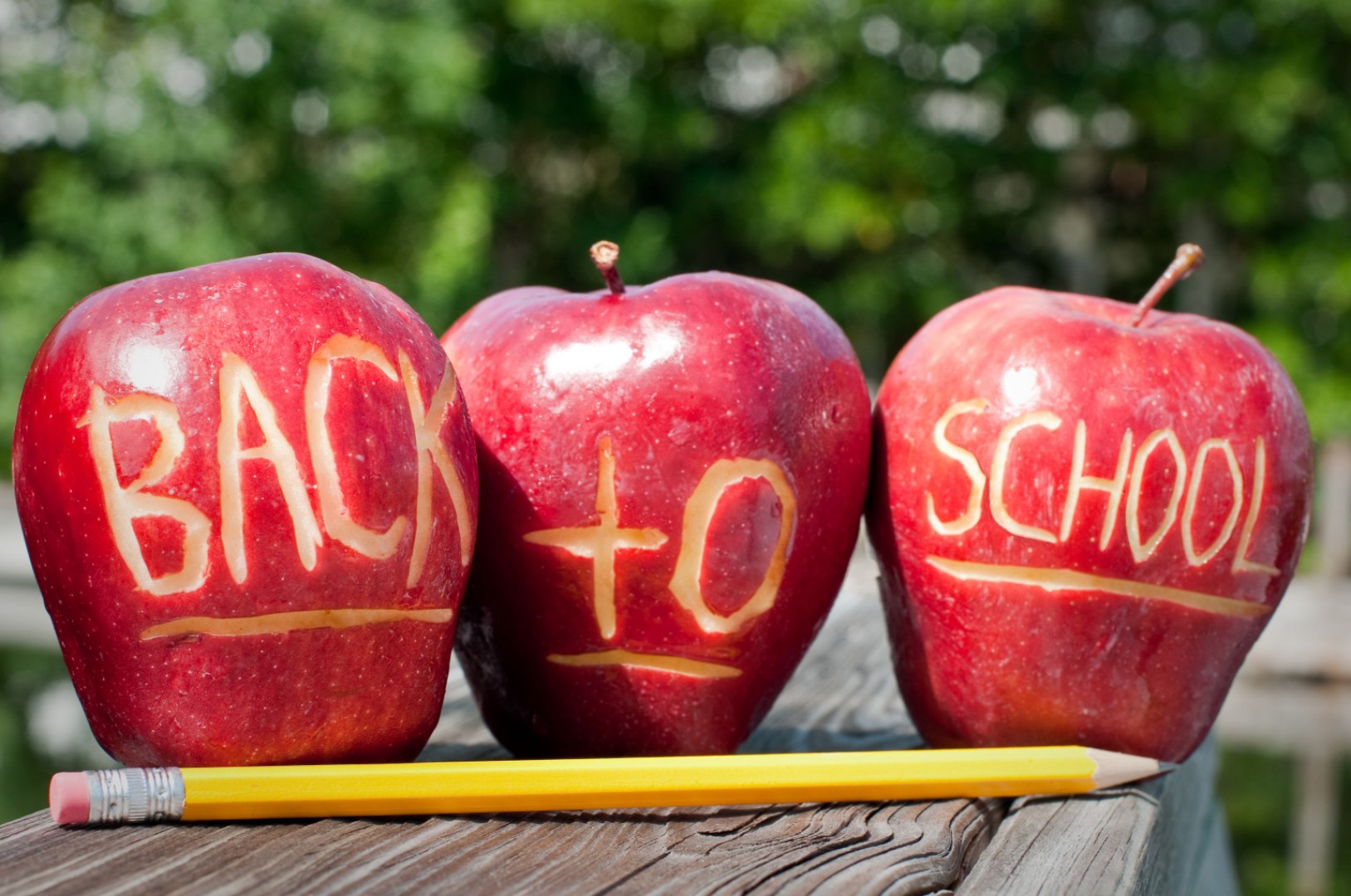 Back to school 1617 Back to school 1617