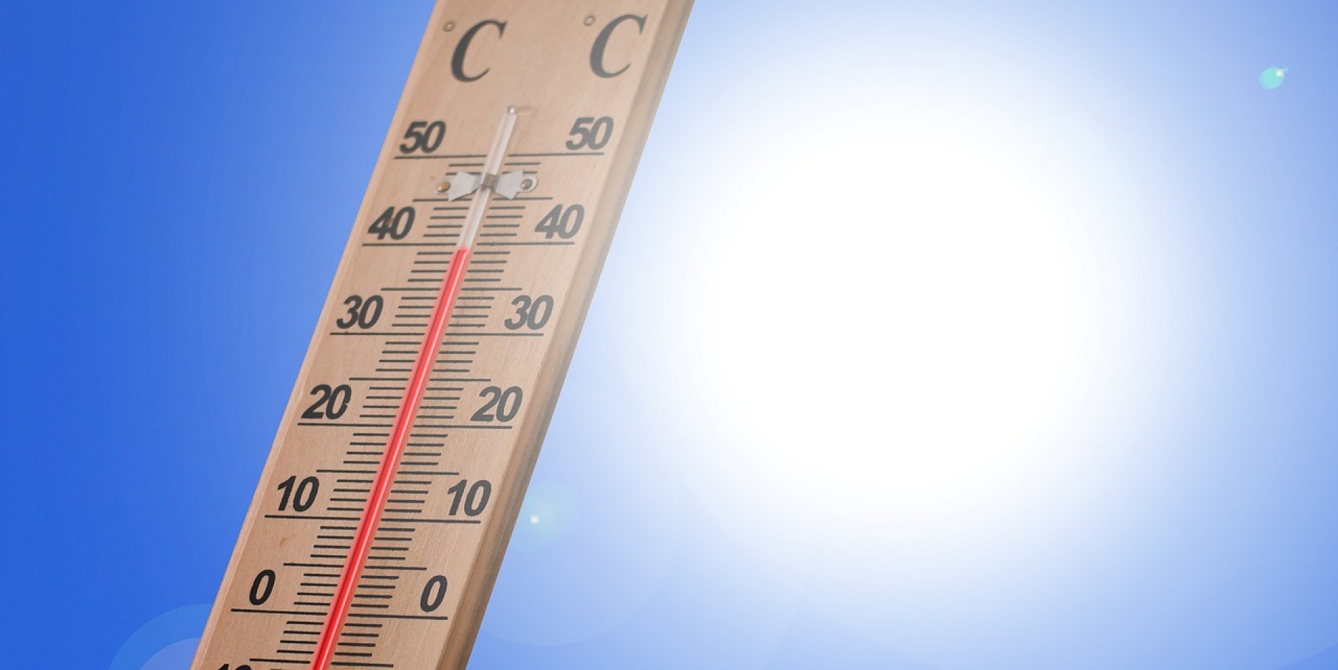 Canicule 2019 Canicule 2019