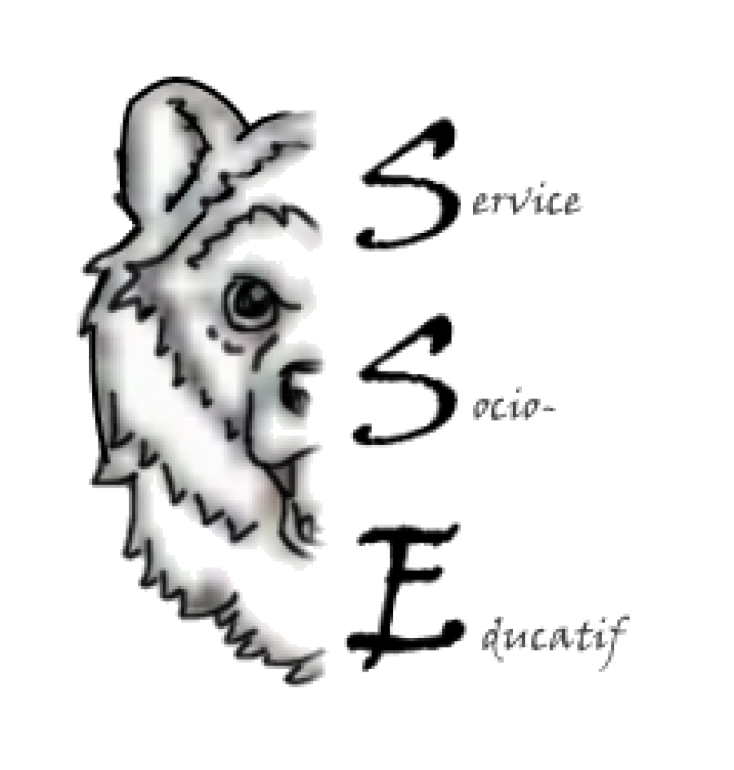 SSE LOGO SSE LOGO