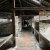 Auschwitz Birkenau 3