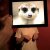 artistique laptop dackel 3
