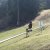 IMG-20190522-WA0007