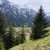 IMG-20190522-WA0009