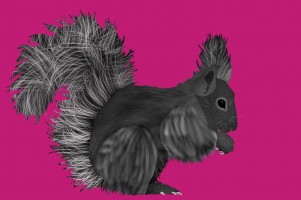 6C3 Tierschatten - Procreate