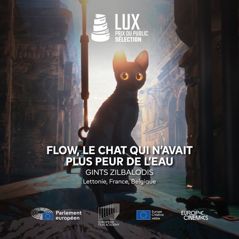 03 Projection de film Flow image