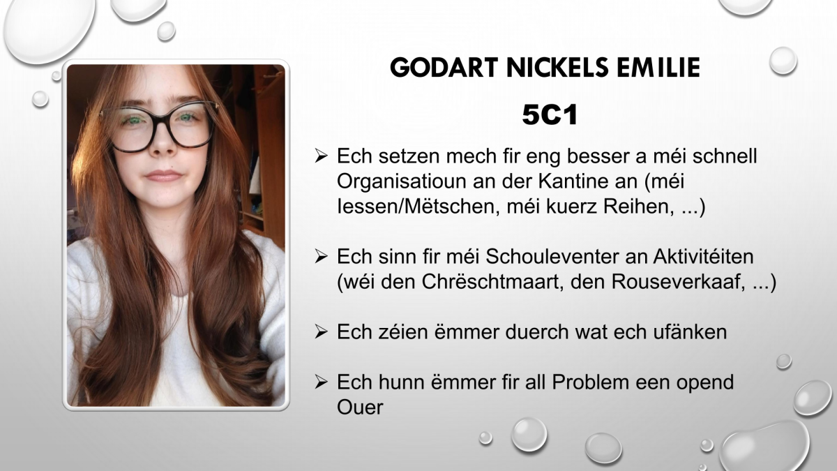 Schülercomité 2-1