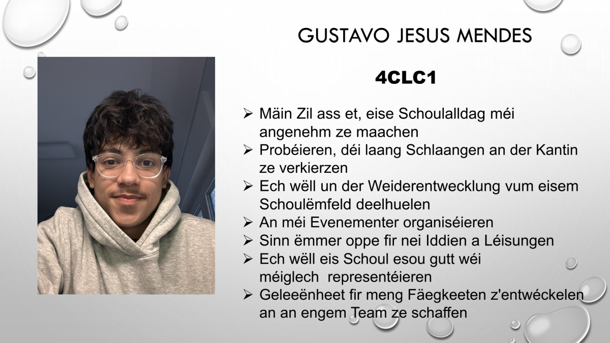 Schülercomité 9-1