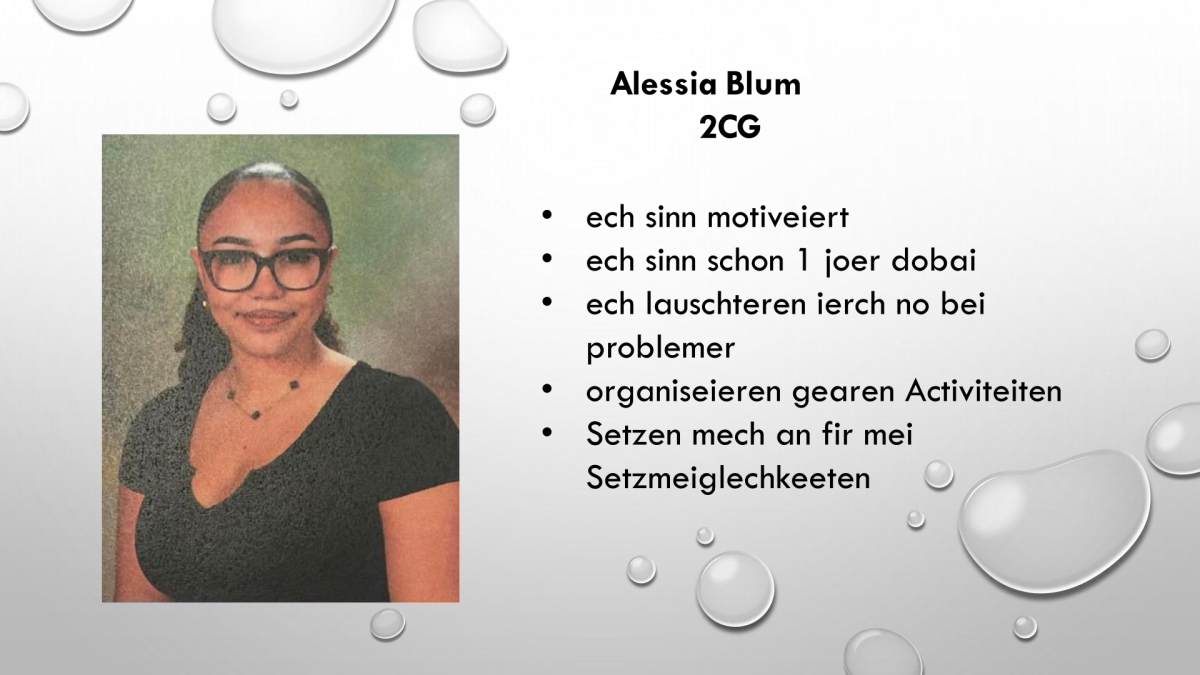Schülercomité 13-1