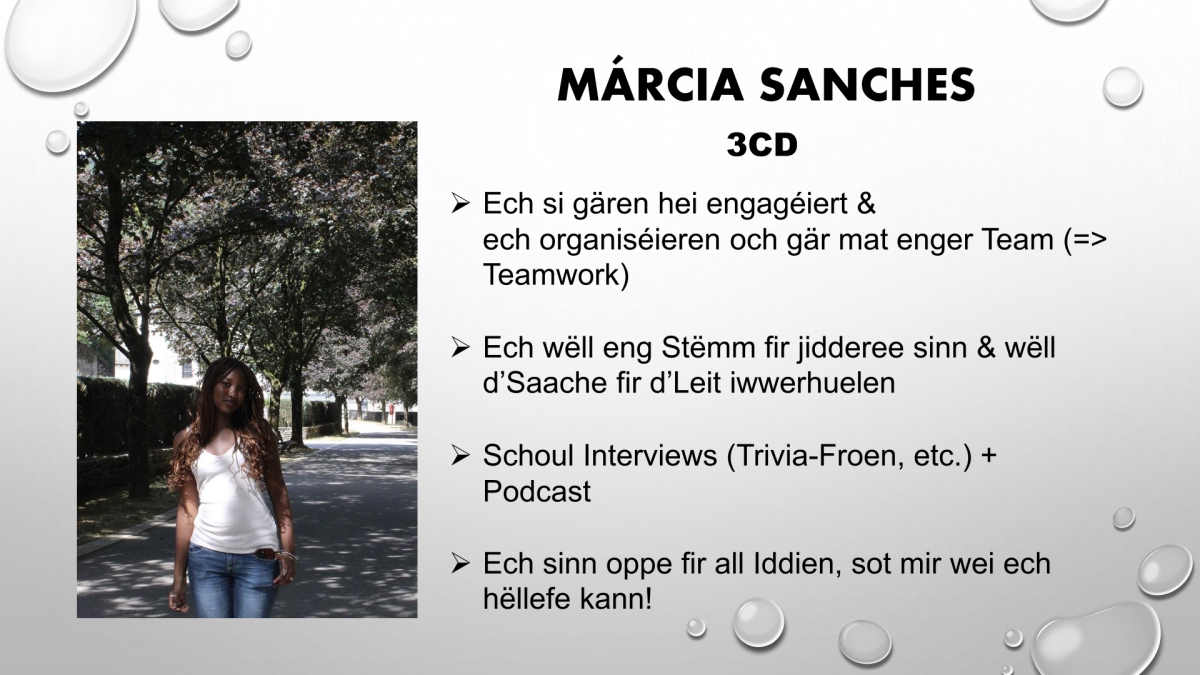 Schülercomité 11-1