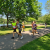 MicrosoftTeams-image (10)