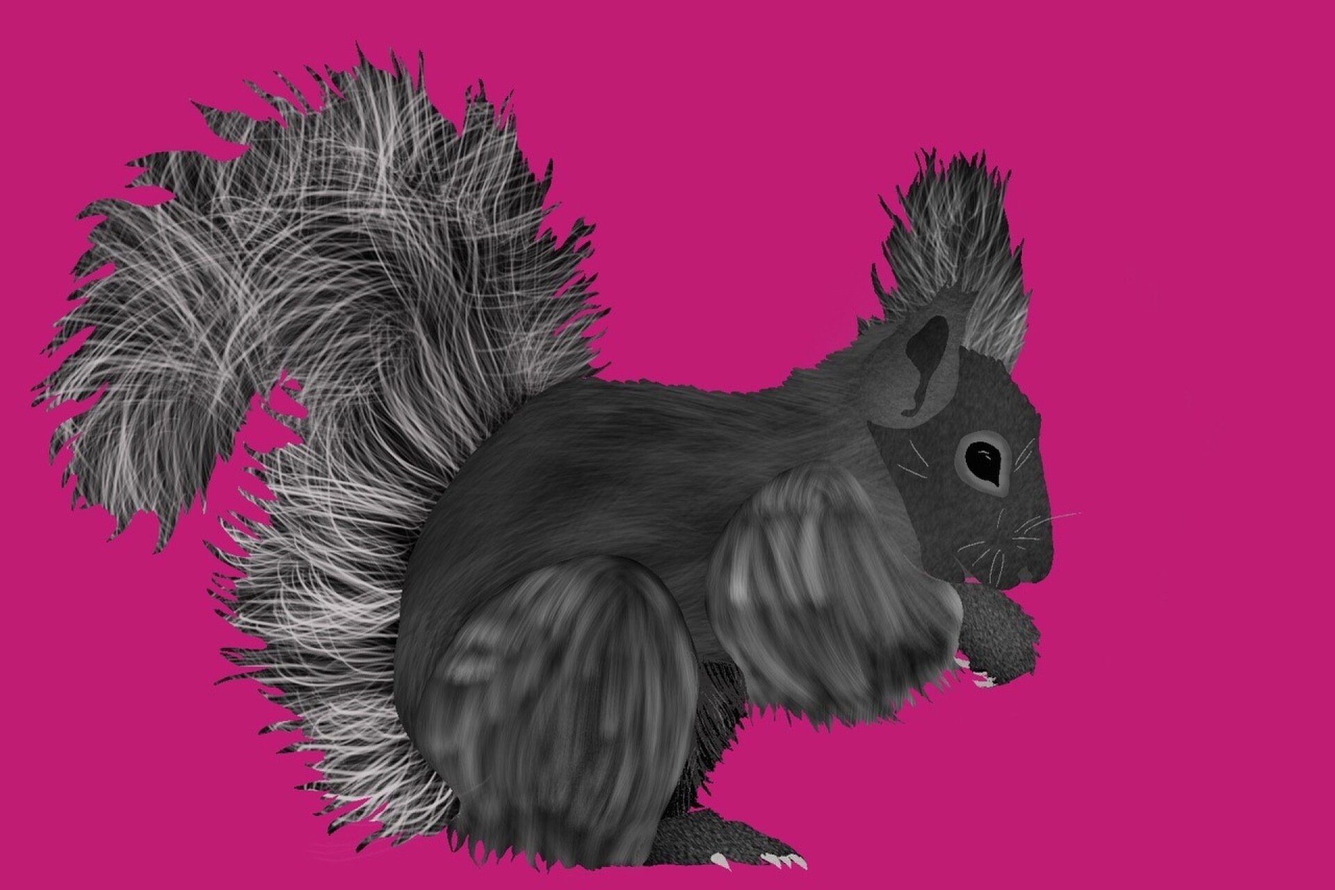 6C3 Tierschatten - Procreate