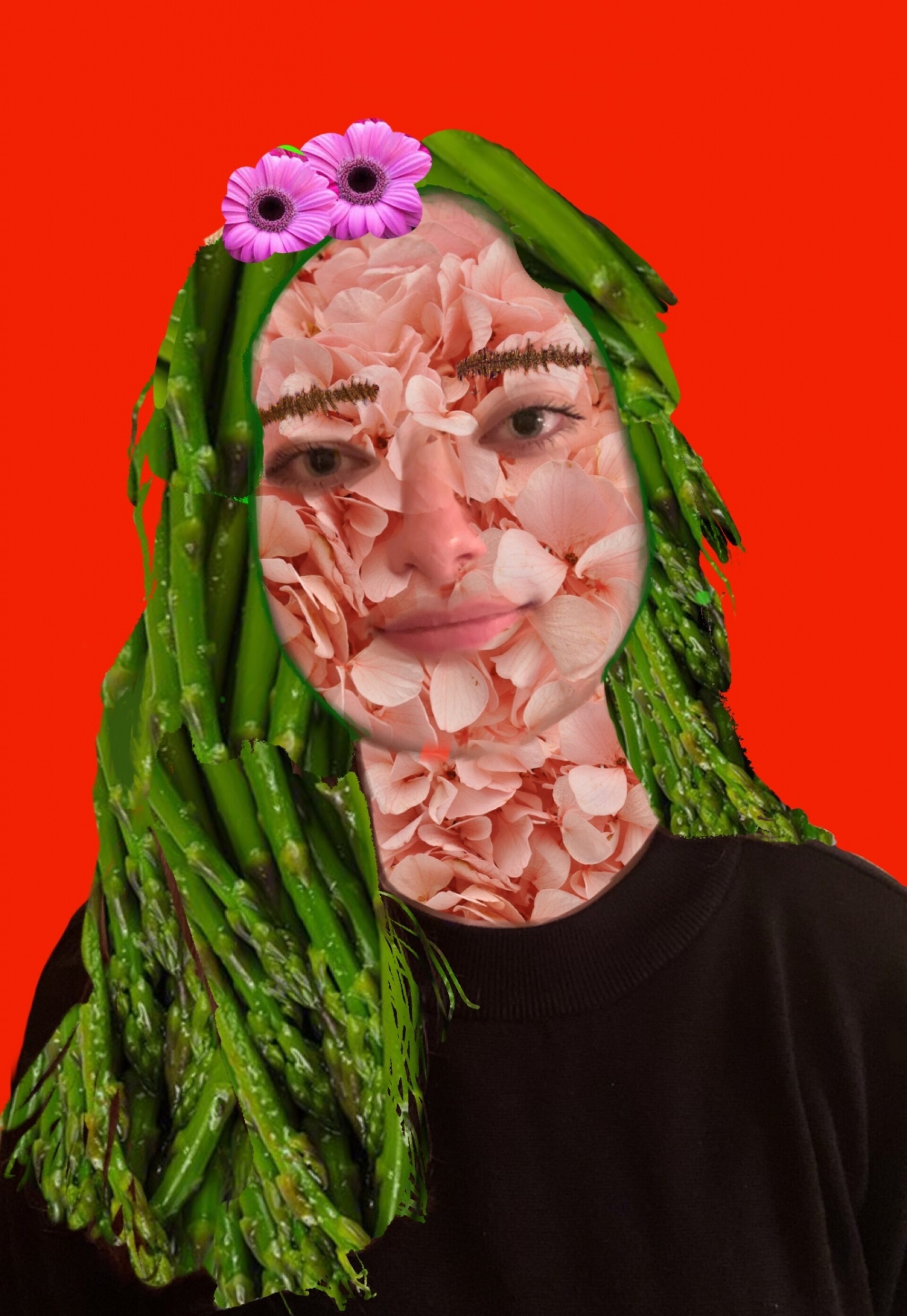 Porträt nach Arcimboldo - Procreate 4e CLC1